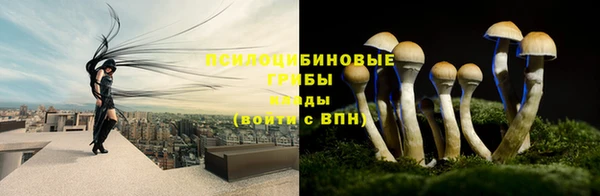 прущий лед Алексеевка
