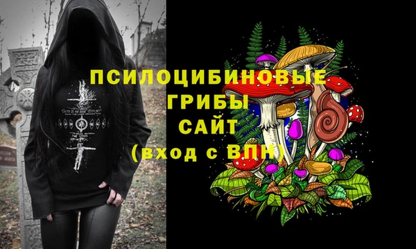 экстази Алексин