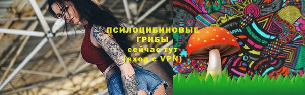экстази Алексин