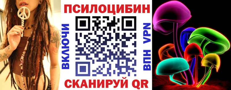 закладка  Красногорск  Галлюциногенные грибы Cubensis 